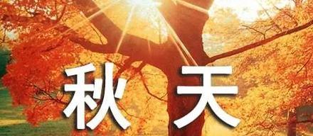 立秋朋友圈说说怎么发？有哪些创意文案推荐？