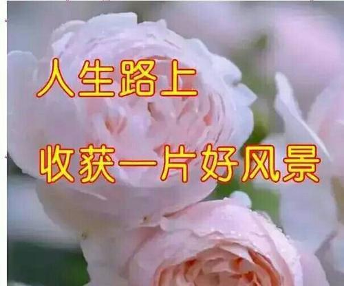 立秋励志早安语录有哪些？如何用早安语录激励自己？