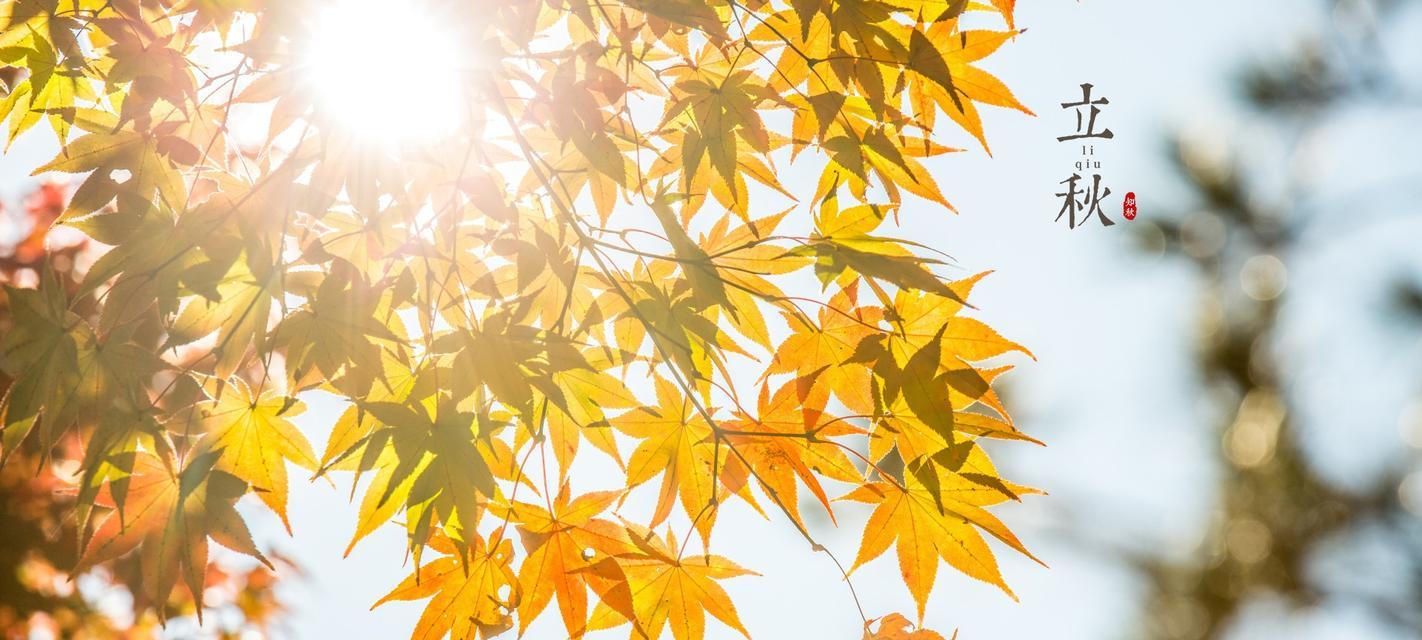 立秋节气的句子有哪些？如何用简短的话语表达立秋的意境？