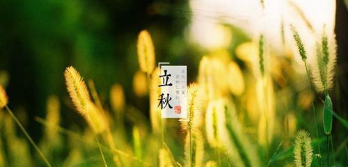 立秋发朋友圈唯美句子2023有哪些？如何挑选适合的文案？