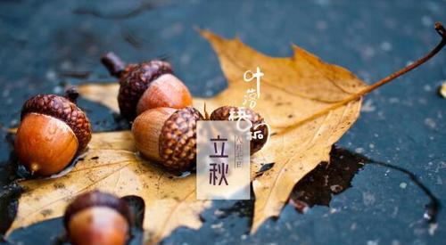 立秋的说说怎么发？有哪些创意文案推荐？