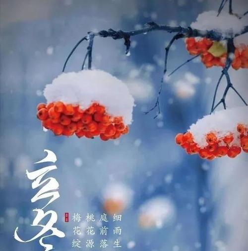 立冬朋友圈问候寄语怎么写？有哪些创意表达方式？