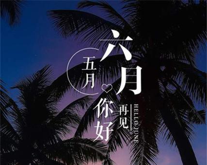 2023年热门好句句子有哪些？如何在文章中有效使用？