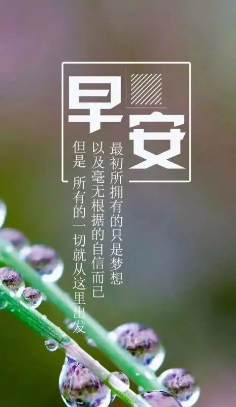 2023正能量早安语朋友圈好句有哪些？如何挑选适合自己的？