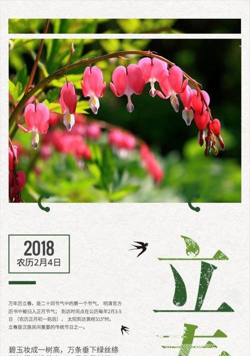 立春发朋友圈怎么吸引人？有哪些创意点子？