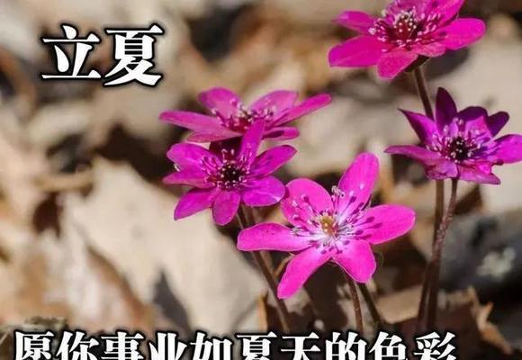 立春早安问候语怎么发？125句精选早安问候语分享！