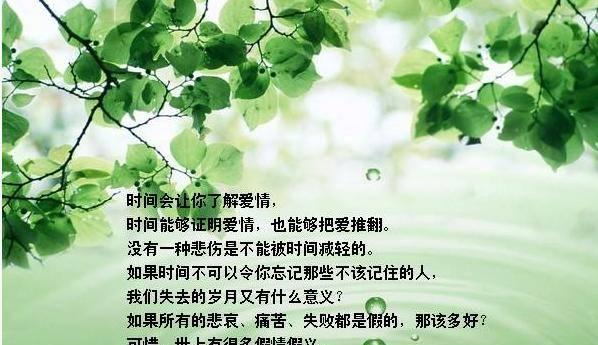 浪漫牵手的唯美句子有哪些？如何用句子表达牵手的浪漫？