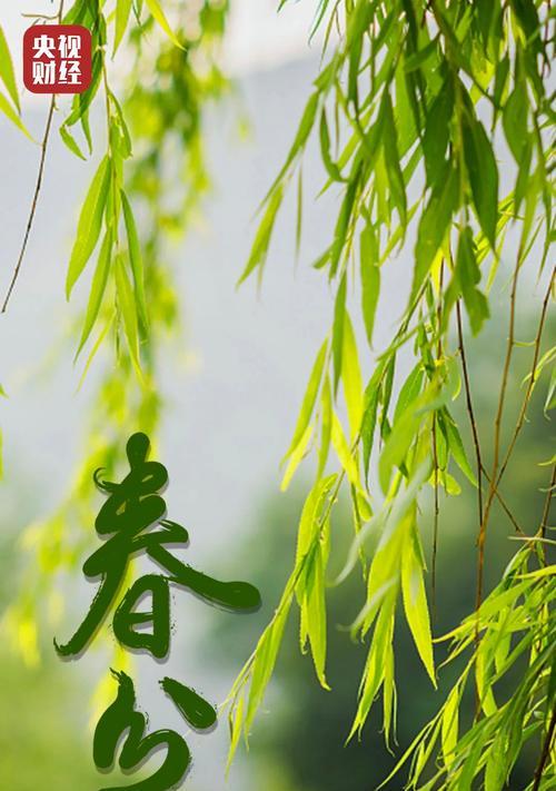 正是人间好时节？如何把握春季最佳赏花时机？
