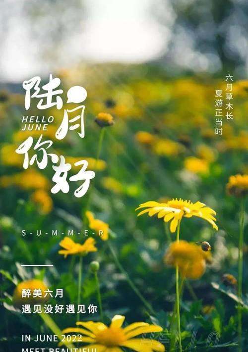 六月你好视频好句句子怎么找？有哪些推荐？
