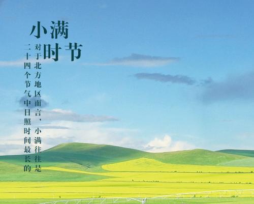 小满节气好句有哪些？如何用满分例句表达节日氛围？
