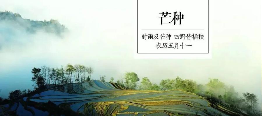 芒种节气祝福好句有哪些？如何用好句表达祝福？