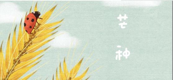 芒种朋友圈怎么发？有哪些简短好句和句子推荐？
