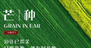 芒种节气发什么朋友圈好？有哪些经典句子推荐？