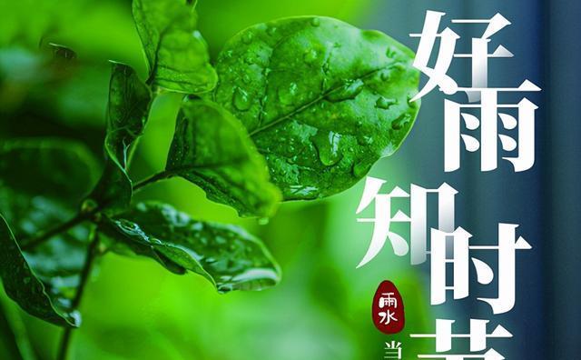 2023雨水节气唯美句子精选有哪些？如何用这些句子表达情感？