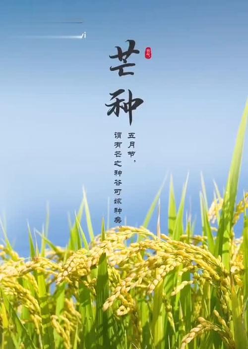 芒种节气祝福语有哪些？如何挑选最合适的祝福语？
