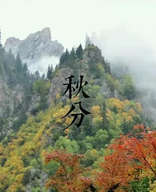 秋分唯美句子怎么写？发抖音有哪些创意方法？