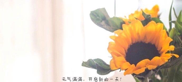 2023年早安句子有哪些幽默高情商的？如何用早安句子提升情商？