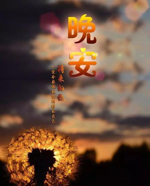 2023幽默的晚安问候语有哪些？如何用它们来增进关系？