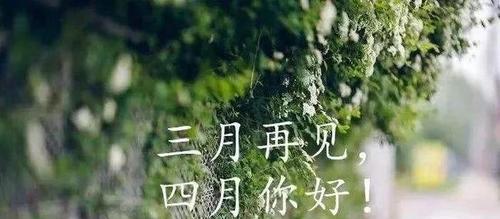 2023迎接三月的优美句子说说有哪些？如何用句子表达三月的美好？