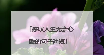 年底朋友圈发的人生感悟好句文字有哪些？如何挑选适合自己的？