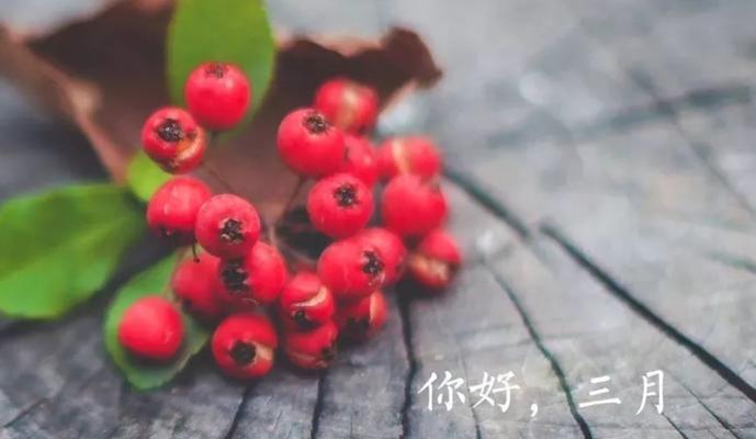 2023一月再见二月你好唯美句子有哪些？如何用这些句子表达情感？