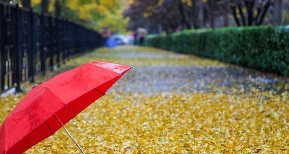 2023年秋雨带来寒意怎么办？如何应对季节变化？