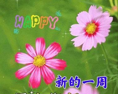 您好三月的早安说说最新是什么？如何获取最新早安说说？
