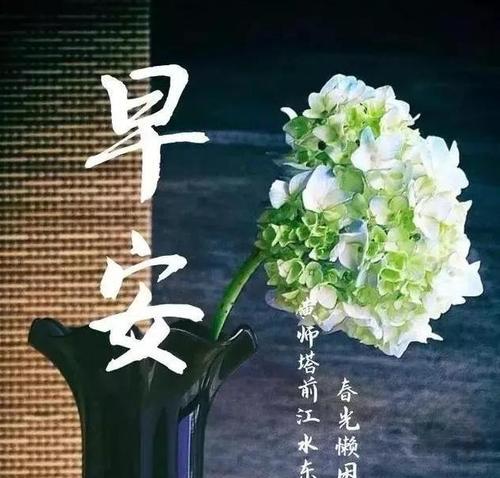 牛年真挚的祝福最经典的好句是什么？如何表达新年的美好愿景？