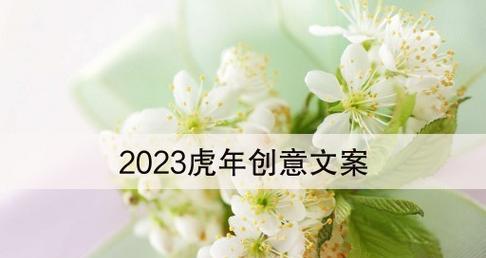 2023新年短信经典祝福语有哪些？如何编写创意祝福语？