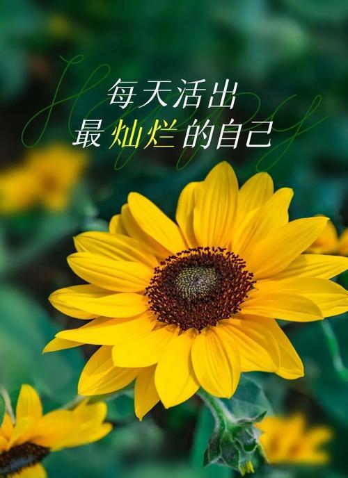 2023新年第一天上班如何保持正能量？分享正能量句子有哪些？