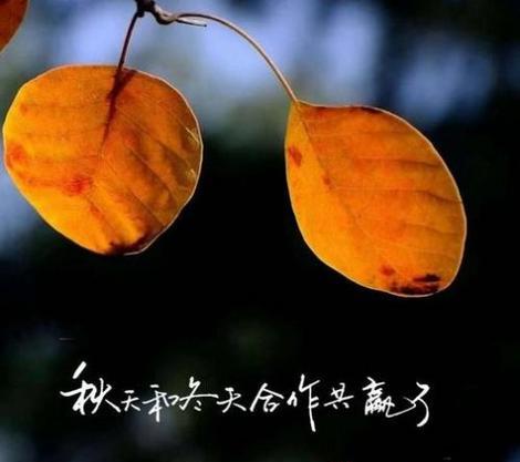 朋友圈立秋句子好句怎么找？有哪些推荐？