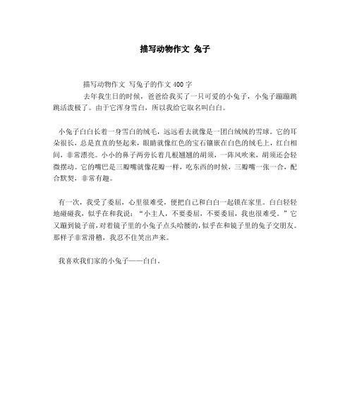 小乌龟的成长日记（与它共度的美好时光）