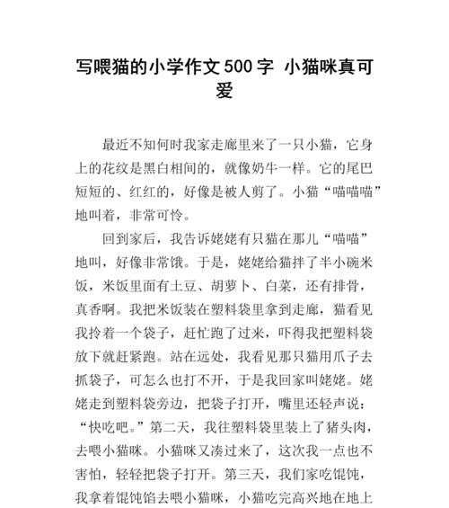 猫和老鼠的寻宝之旅（一场惊险刺激的寻宝之旅）