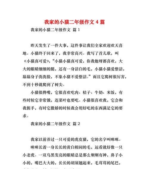 《小猫的故事》（一个小生命的成长历程）