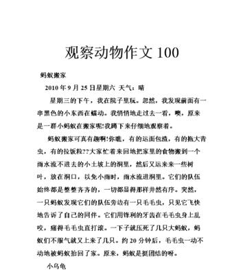 蚂蚁搬家，我与你（奋斗的力量）
