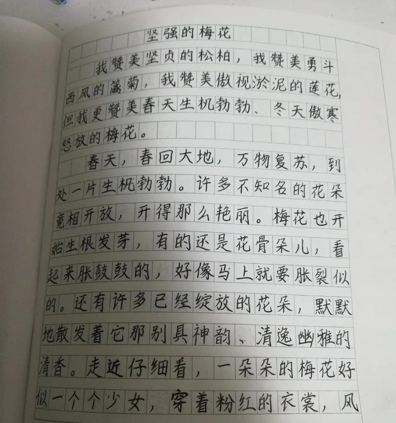 无论何时，坚强都是最好的选择（无论何时）