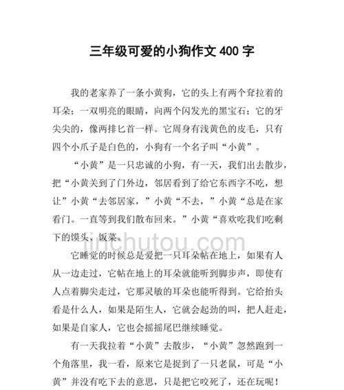 小狗的故事（忠诚与友情的化身）
