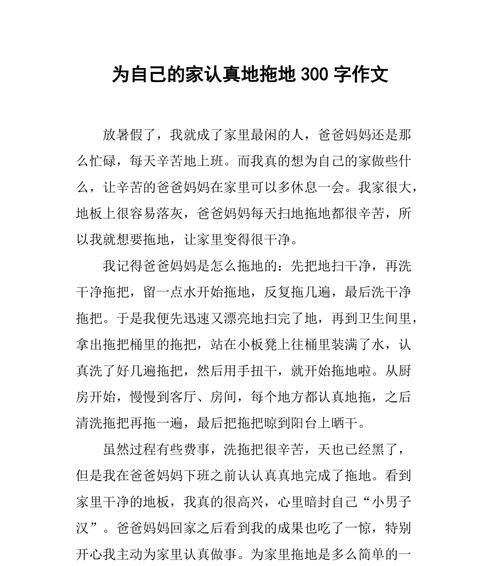 家务日记：一个家庭的点滴生活