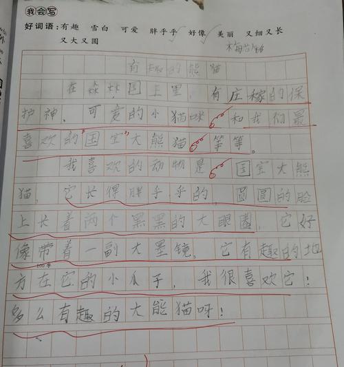 小蚂蚁的奇妙冒险（探索森林的小勇士）