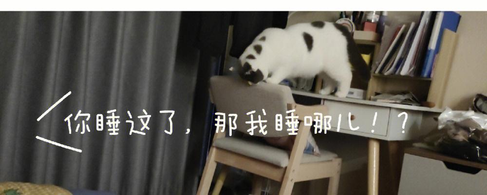 第一次洗碗（一个羽翼未丰的少年的成长故事）