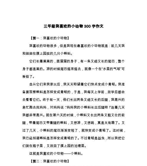 一个人类和小狗的故事（一个人类和小狗的故事）