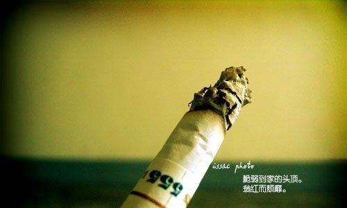 说说搞笑哲理句子？如何用幽默点亮生活智慧？