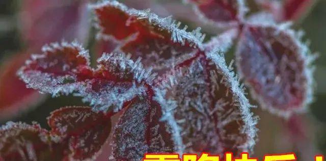 霜降祝福语温馨的话有哪些？如何用温馨的话表达霜降祝福？