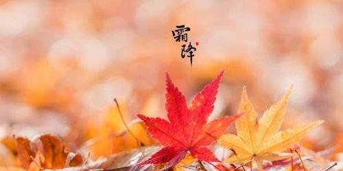 霜降说说心情短语怎么写？有哪些温馨的表达方式？