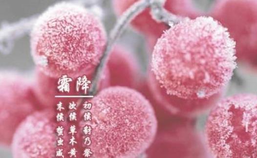 霜降经典祝福句子有哪些？如何用祝福句子表达关怀？