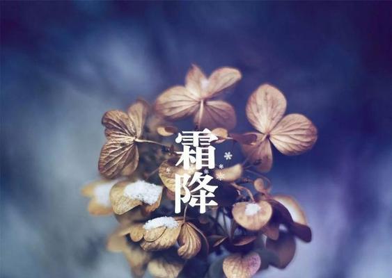 霜降经典问候说说2023怎么写？有哪些创意表达方式？