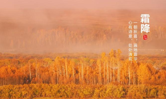霜降节气优美句子简短有哪些？如何用简短句子表达霜降之美？