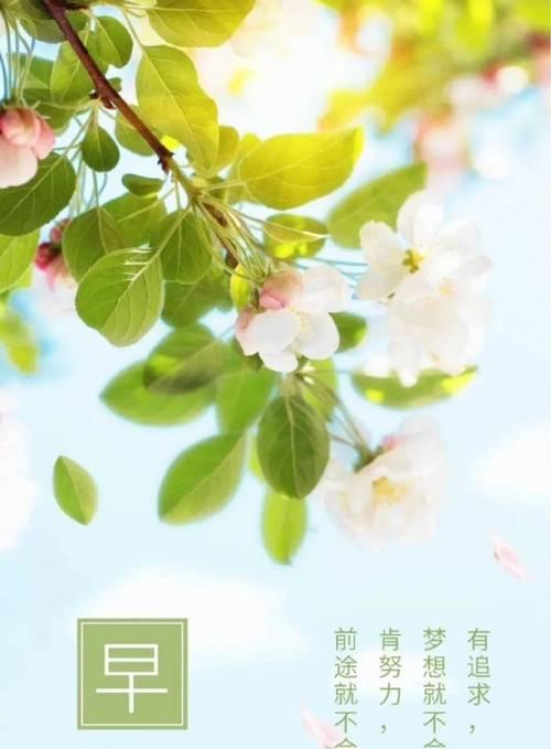 霜降时节发朋友圈伤感句子有哪些？如何表达情感？