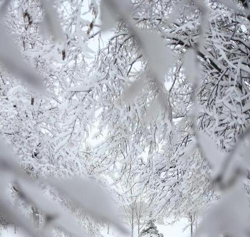 2023年唯美文艺大雪朋友圈好句有哪些？如何挑选适合的句子分享？