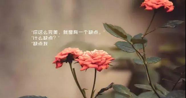 适合发说说的句子有哪些？如何挑选最能表达心情的句子？